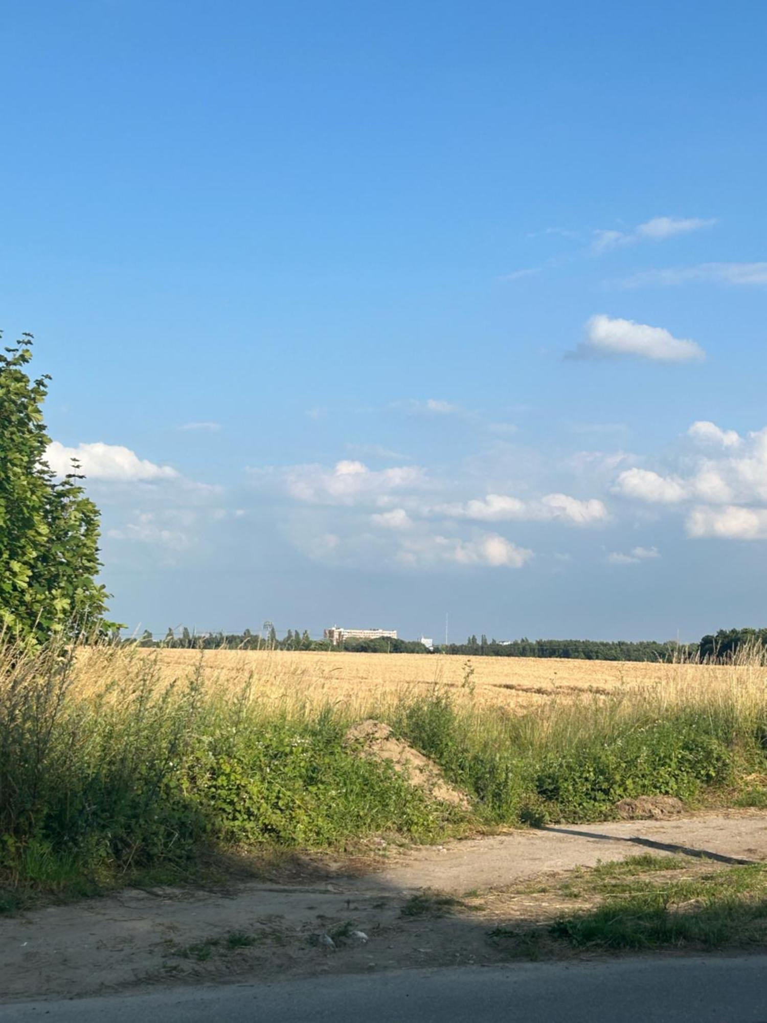 Ferienwohnungen Mit Feldblick Schwerin  Eksteriør bilde